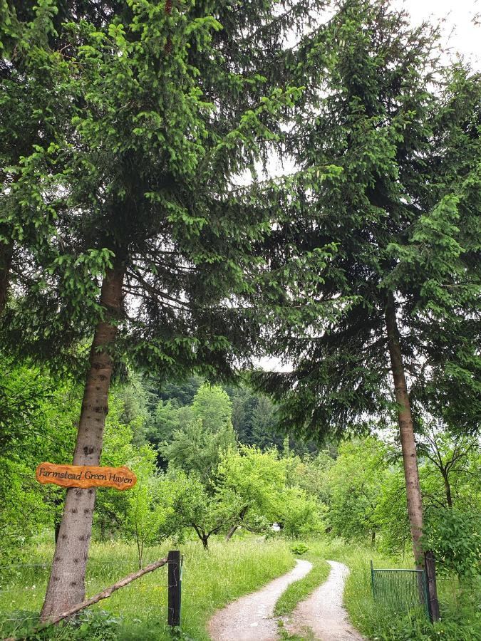 Farmstead Green Haven Мойковац Экстерьер фото