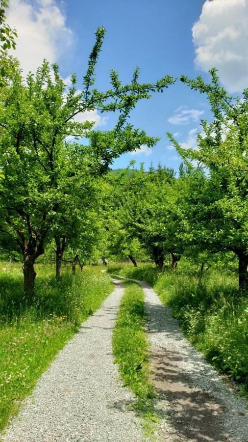 Farmstead Green Haven Мойковац Экстерьер фото
