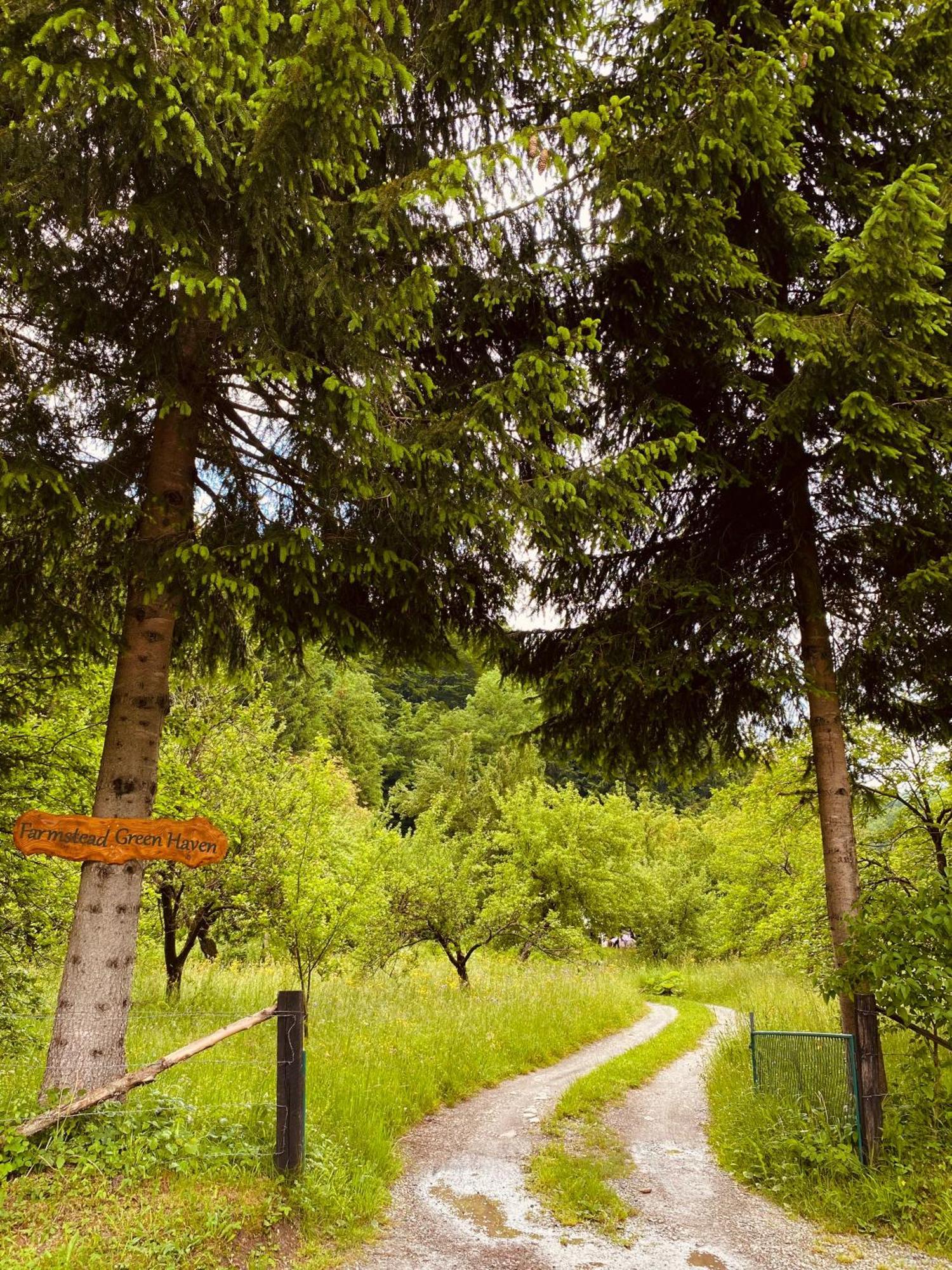 Farmstead Green Haven Мойковац Экстерьер фото