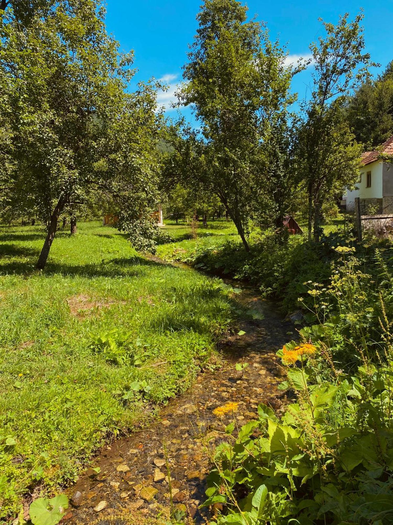 Farmstead Green Haven Мойковац Экстерьер фото